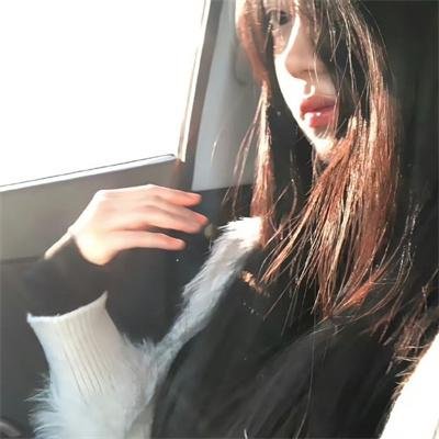 猫咪后院之家